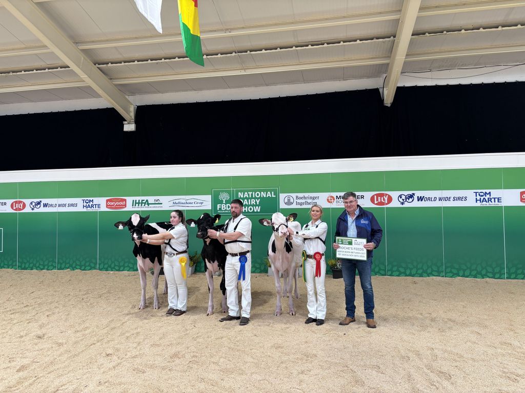 (L-R). Clodagh Kennelly; Steve McLoughlin; Izzy Jones ;Richard Glesson, Roche's Feeds.