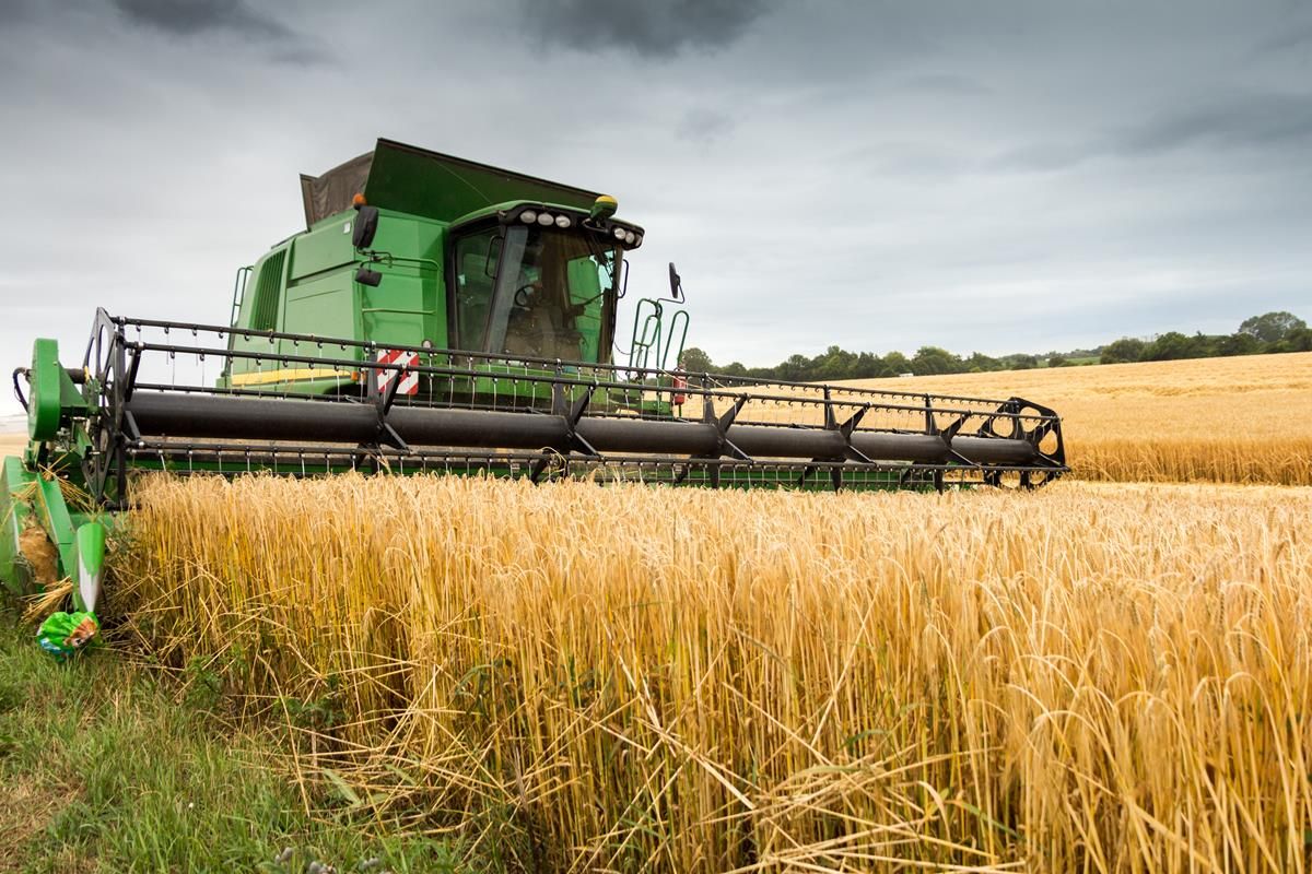 Government 'must address continued decline' of tillage