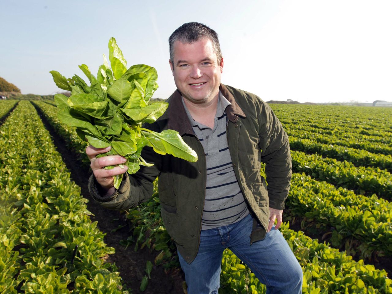 Dublin grower to provide first season spinach this year