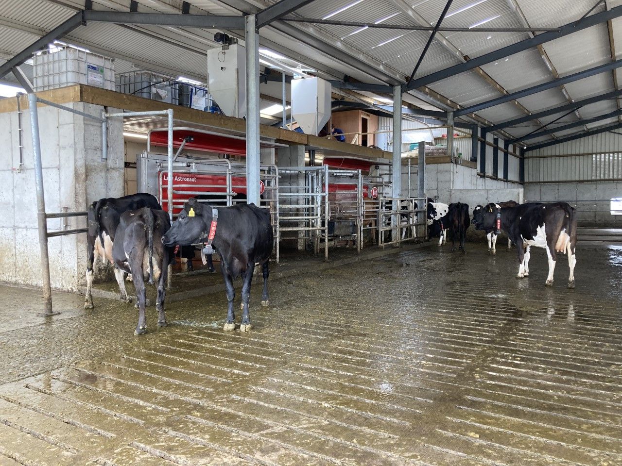 Buildings Focus: Laying the foundations for the next generation in Co. Galway