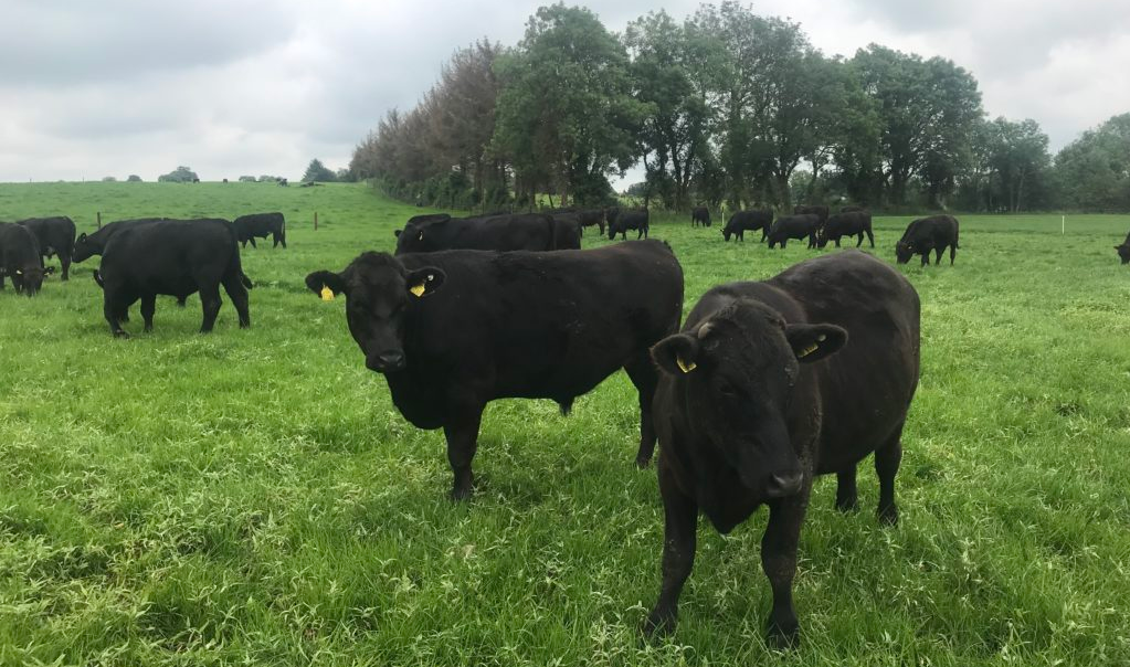 Reflecting on an eventful 2019 and preparing for a busy spring in 2020