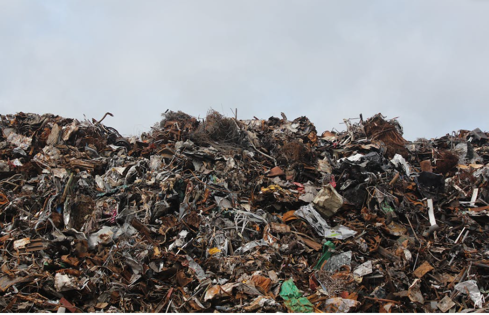 Search on for new food waste reduction ideas
