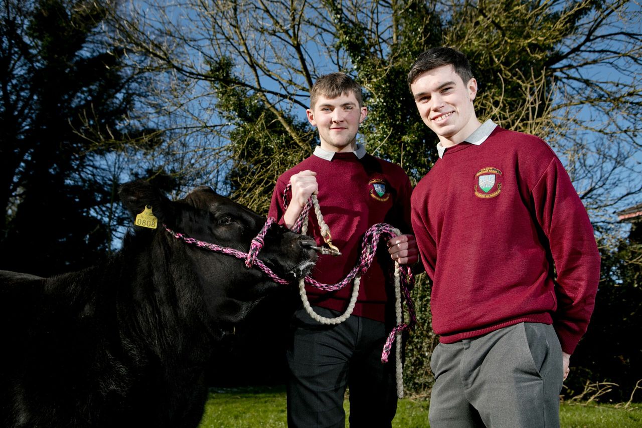 Applications open for Certified Irish Angus Beef Schools Competition 2019