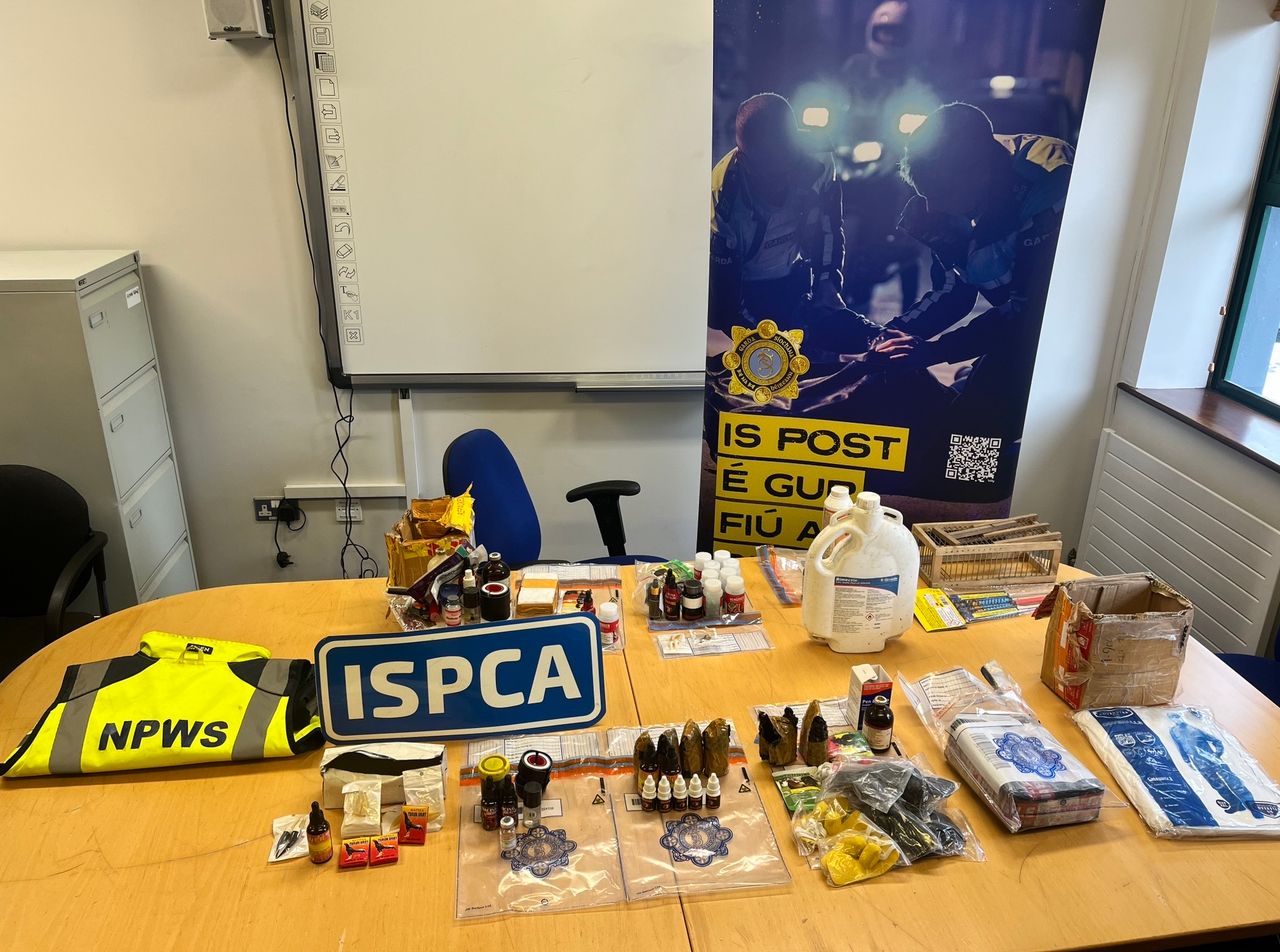 Bird cages and steroids recovered at site of alleged cock fighting