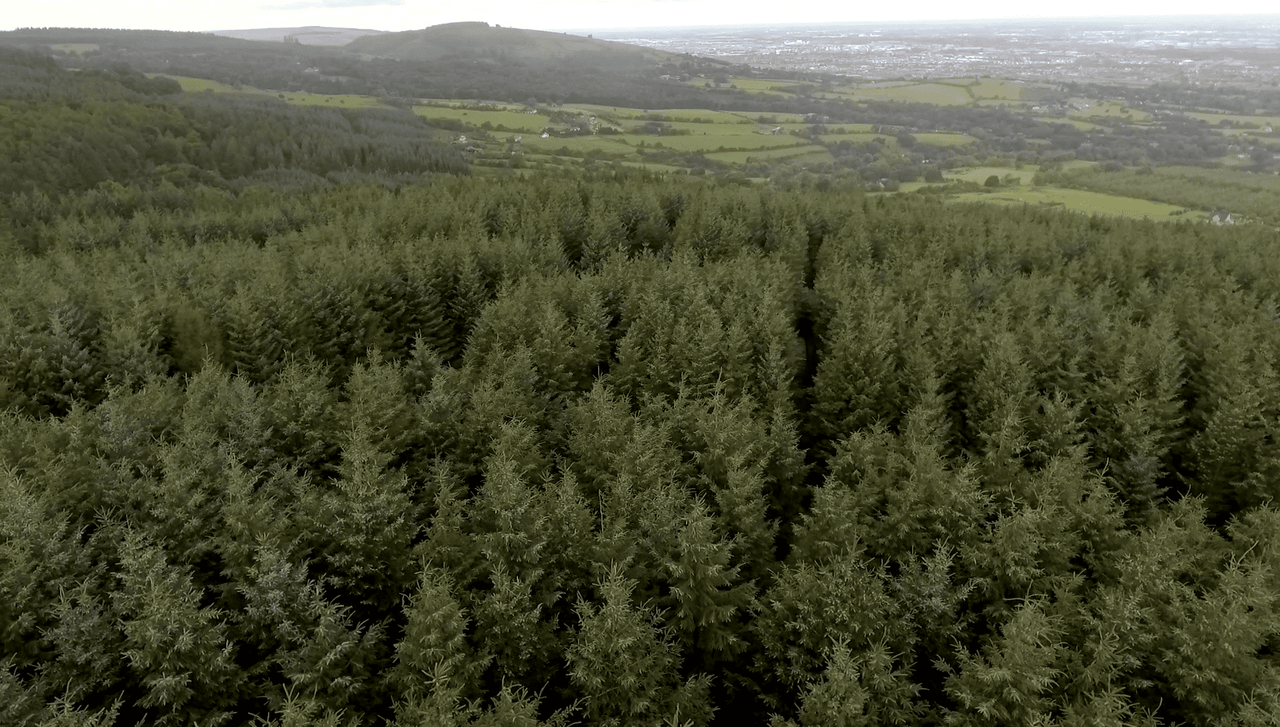 €3m investment announced for Coillte recreational sites