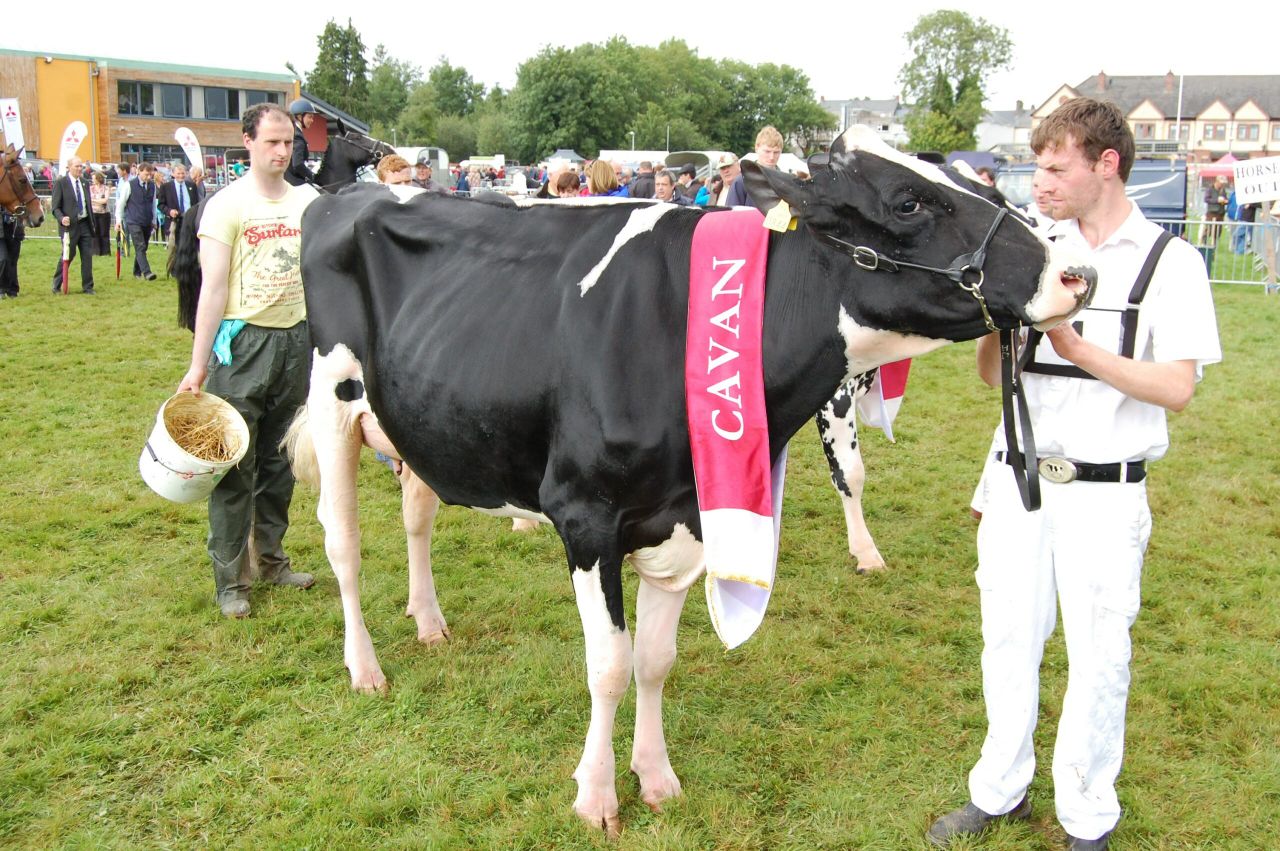 One week to go until the 75th annual Virginia Show