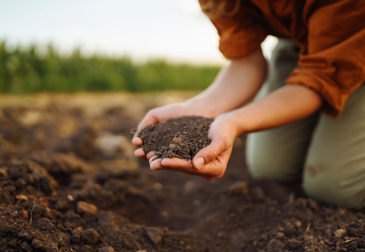 One fifth of global farmland contaminated by toxic metals