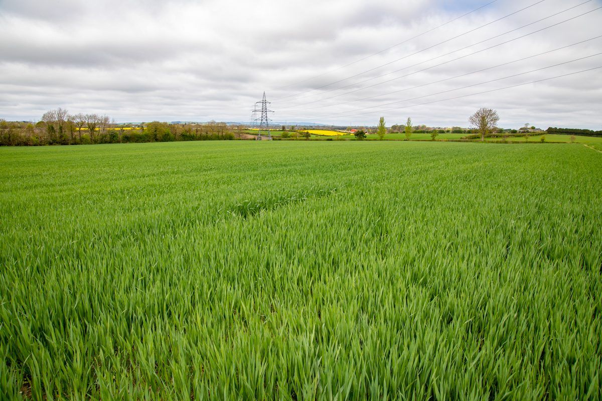 Income falls by 15% on tillage farms in 2019