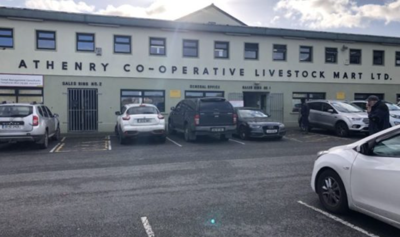 Over 50 dairy cows for Athenry Mart Show &amp; Sale