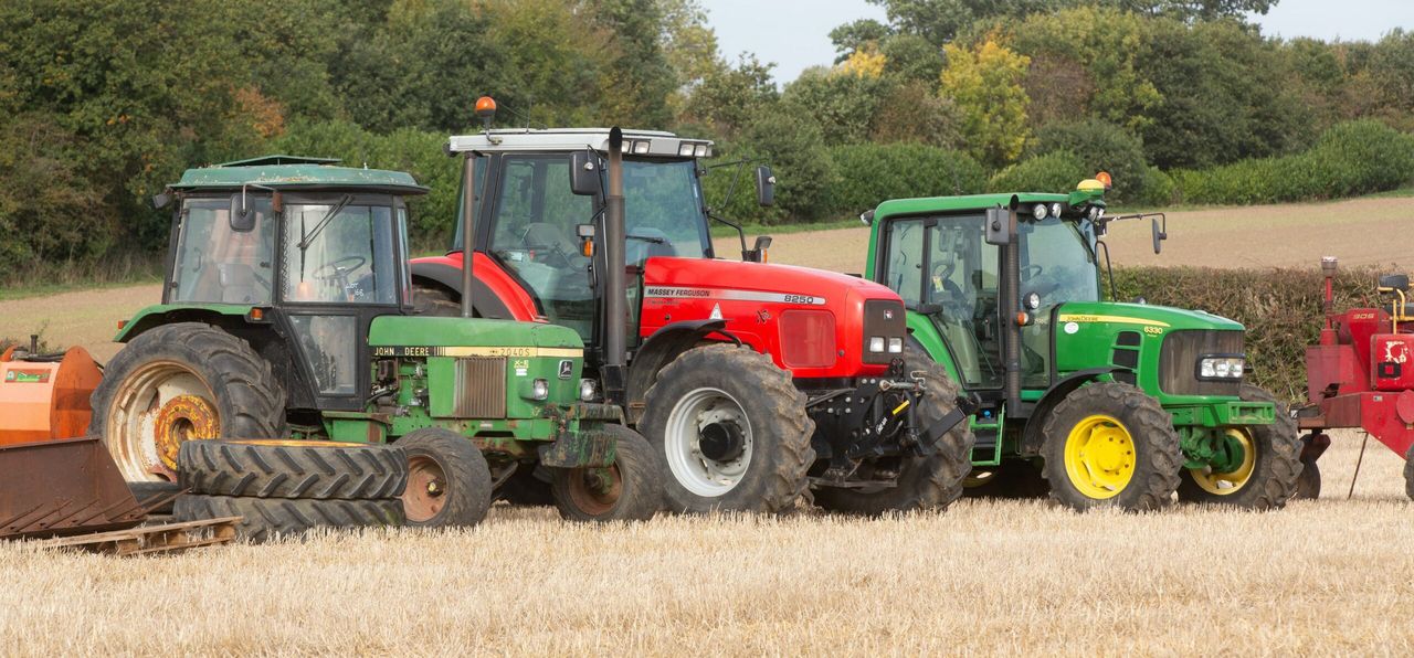 Auction report: On-farm sale sees 'greens' and 'reds' change hands