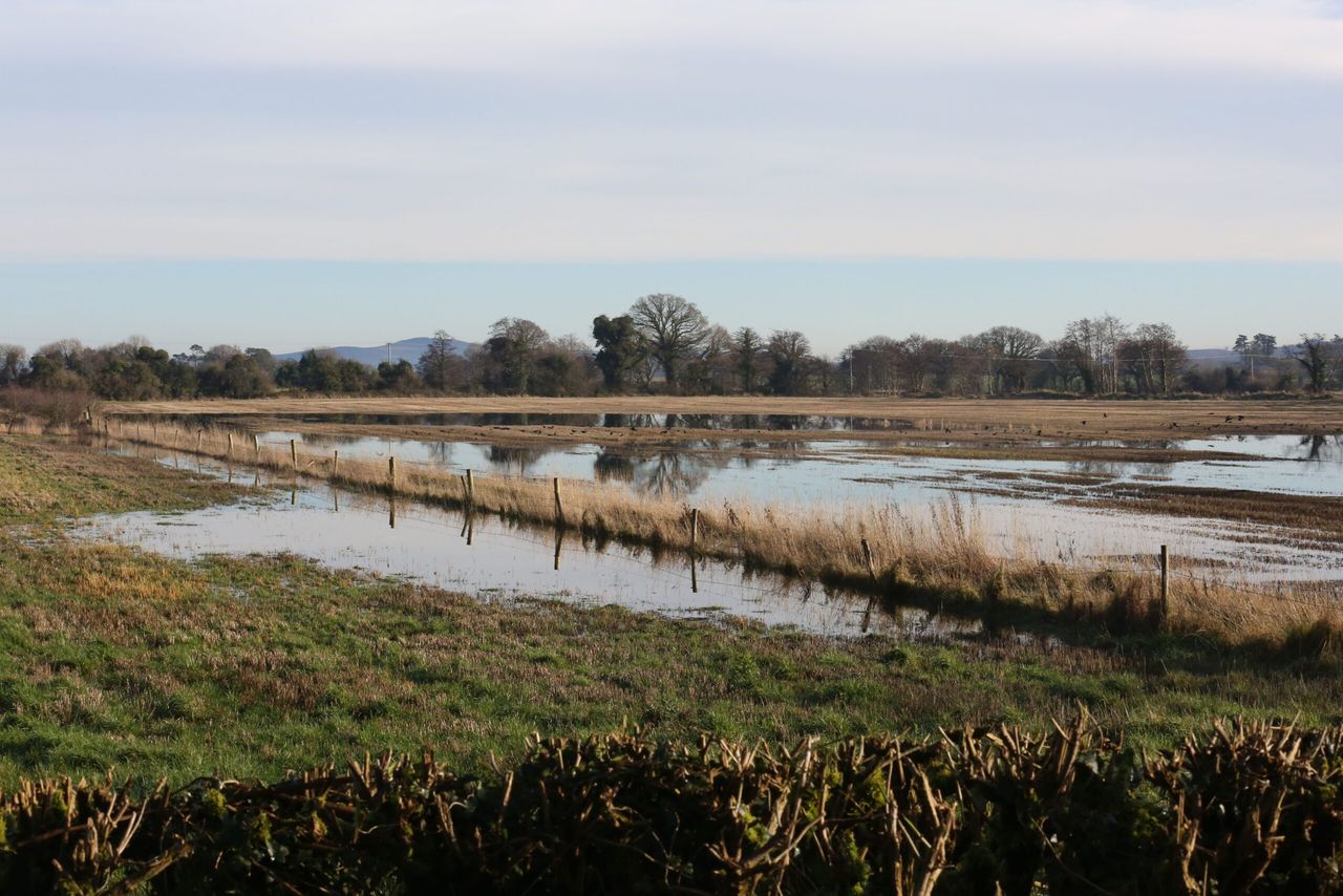 Farmers in the North hit by flooding to benefit from £1,000 relief