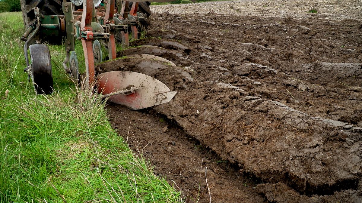 Derogation farmers reminded of upcoming ploughing ban