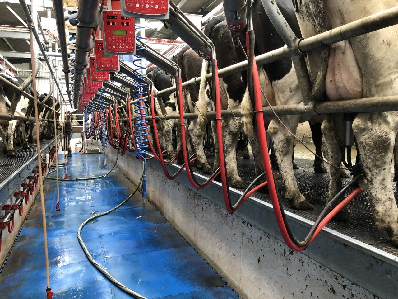 Milk Price Tracker: Which co-op came out on top for July's milk supplies?