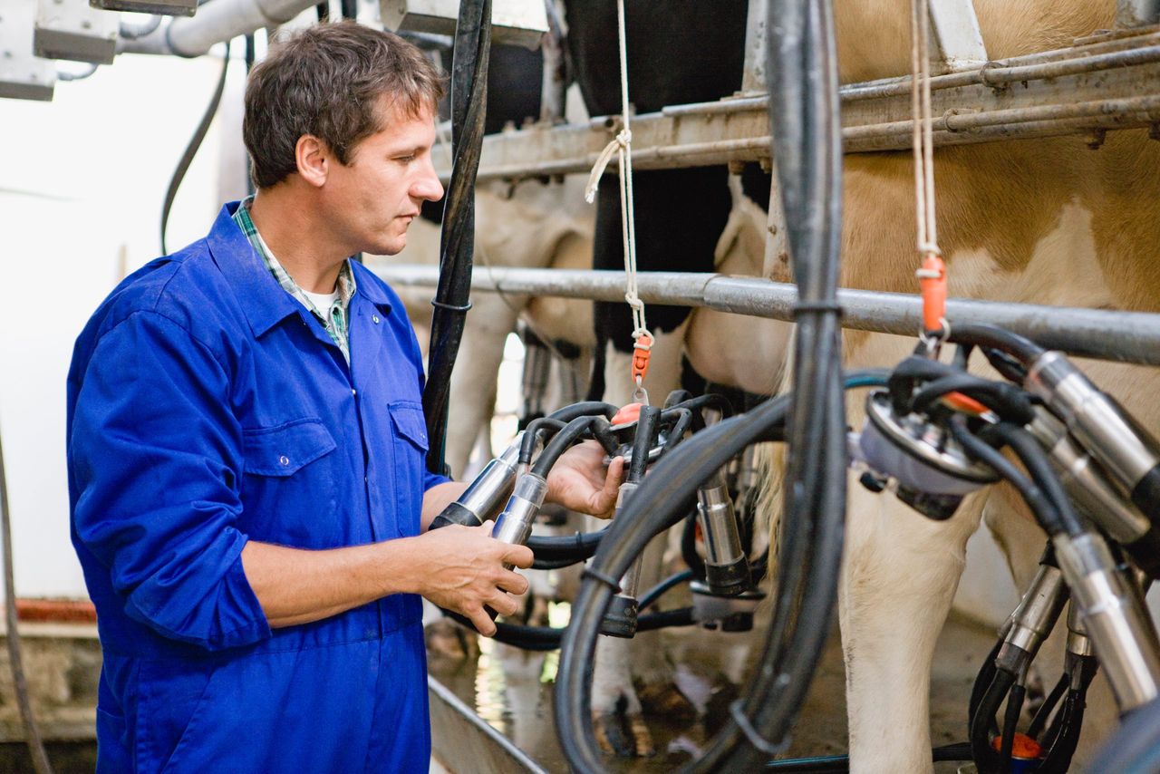 Report: Delayed spring calving added to EU milk flows in late 2025
