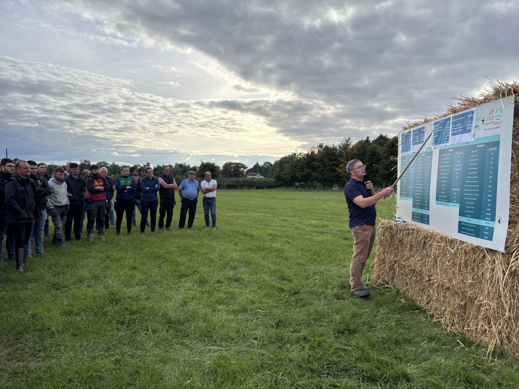 Teagasc's Edward Egan discussing lamb finishing budgets