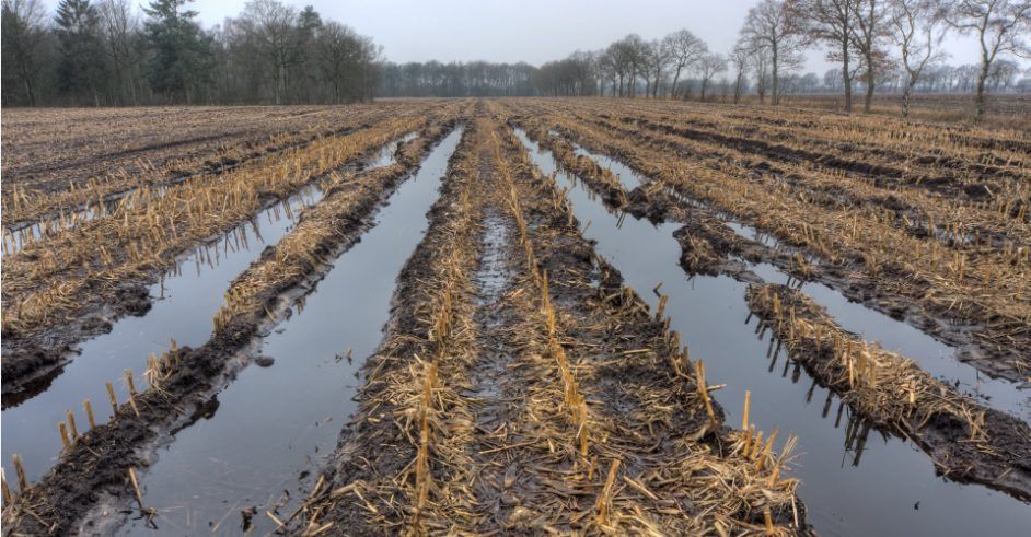 Rainfall warning issued for Munster with up to 3 inches to fall in parts