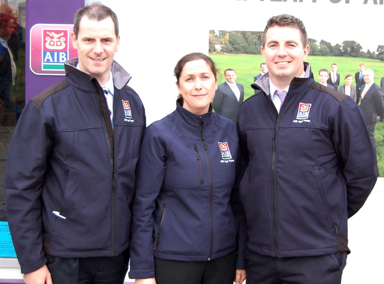 AIB says it's 'actively' lending to farmers