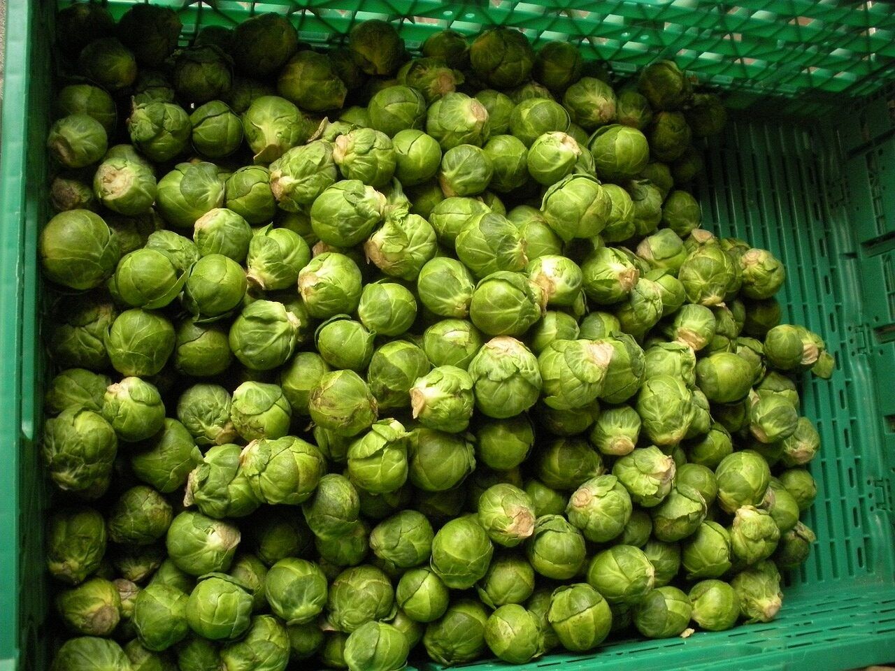 Brussels sprouts: The divisive Christmas table staple
