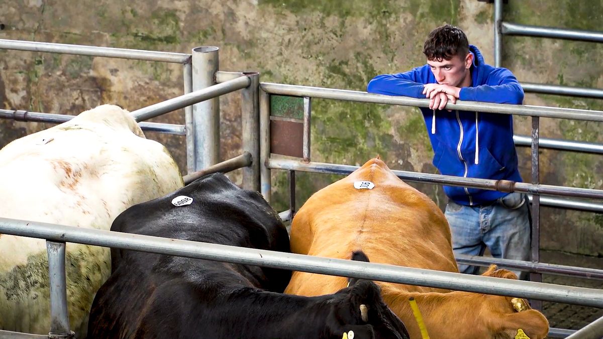 ICOS 'urge farmers to minimise contact with others'