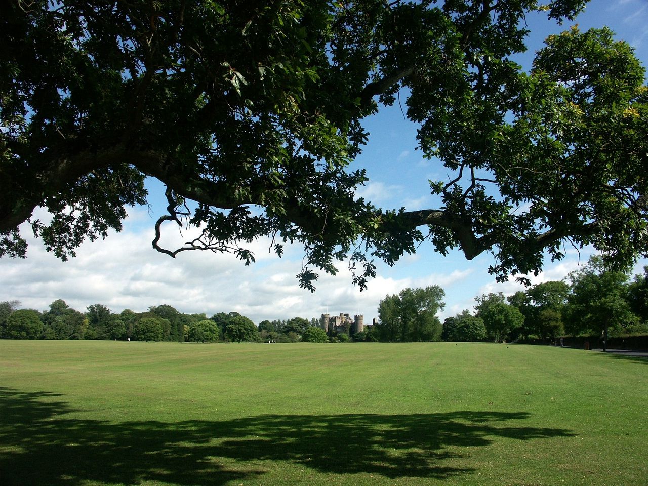 Urban green spaces important for 92% of people in Ireland