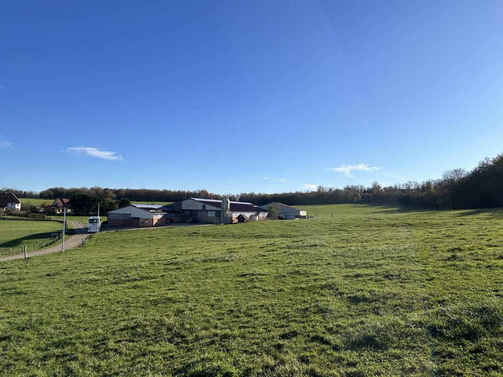 A view of Kovalik's farm yard