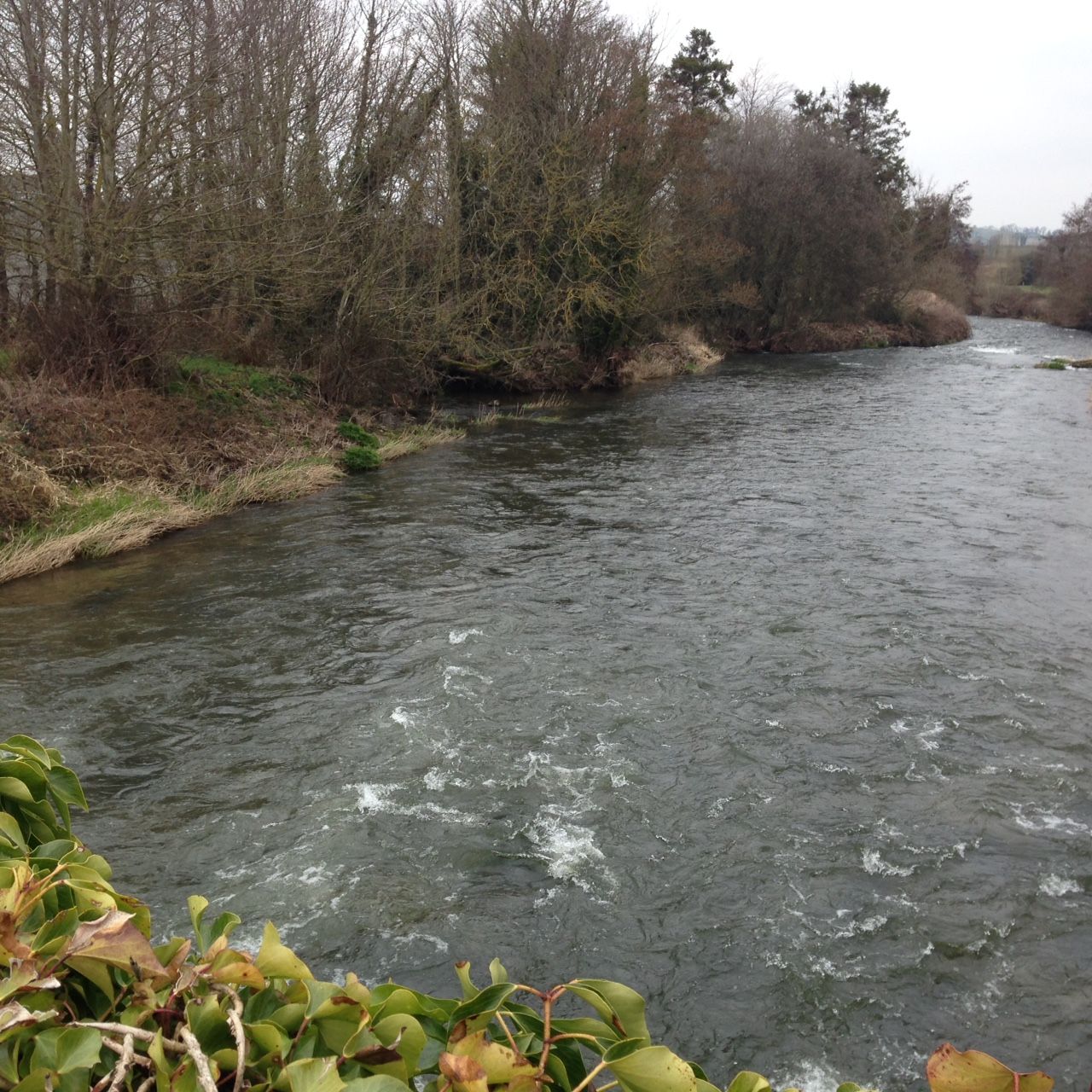 Increase in the number of pesticides present in public water supplies