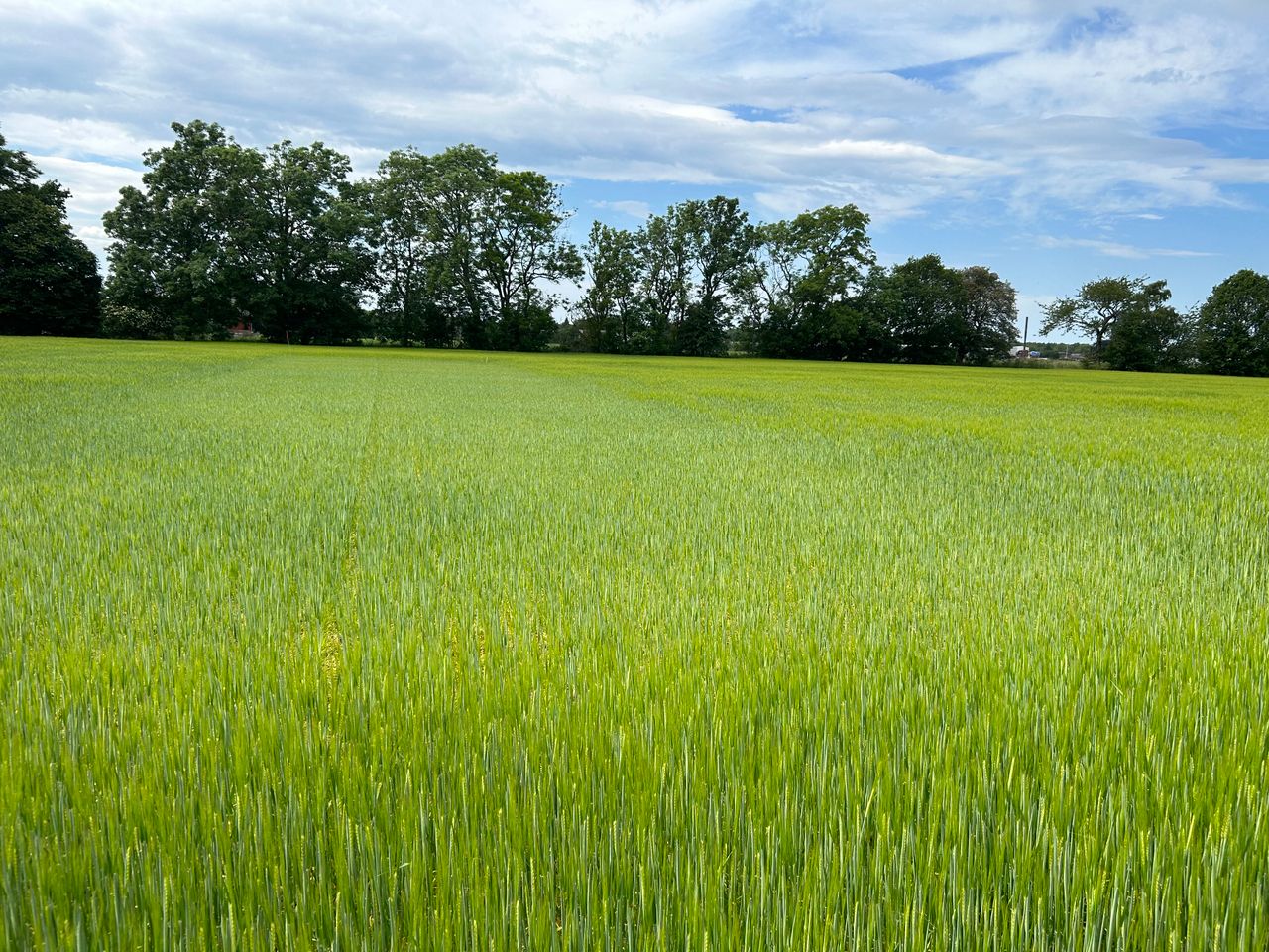 Can Sweden lead the way for Irish farmers to embrace 'recycled' fertilisers?