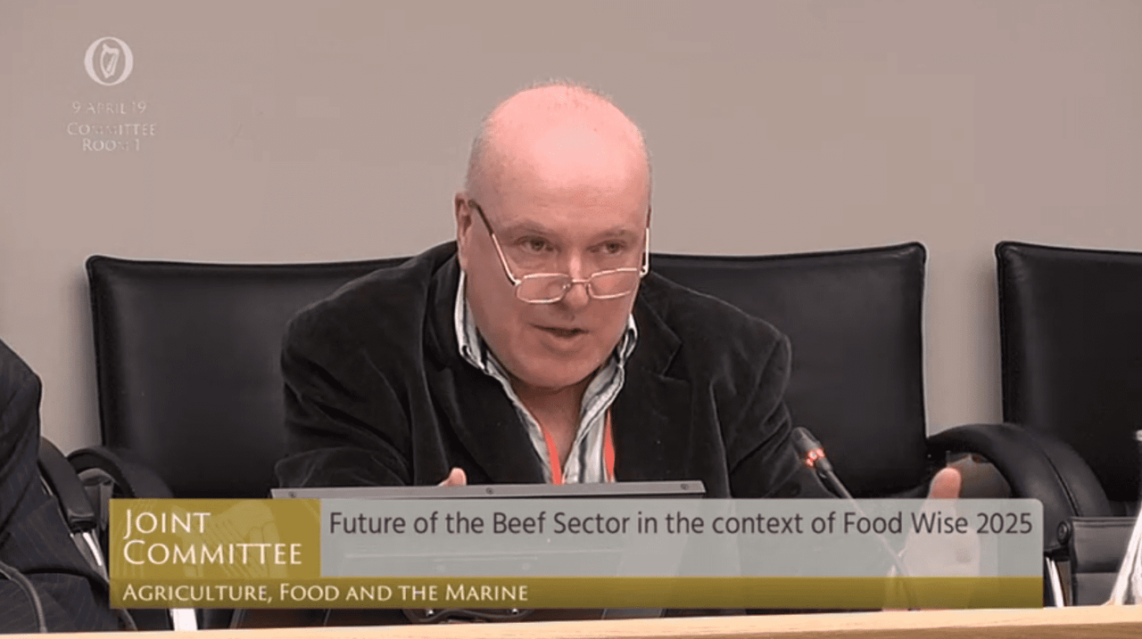 An Taisce brings climate issues to Oireachtas committee