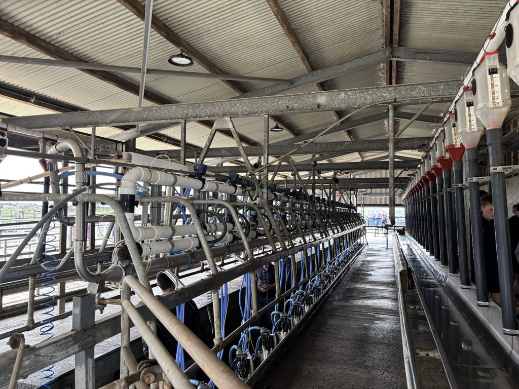 The herd is milked through a 20-unit Fullwood herringbone parlour situated in the centre of the farm to minimise walking