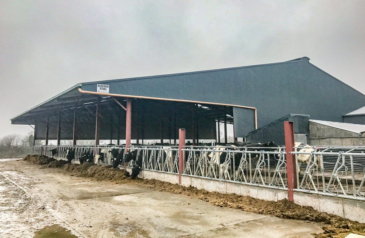 Buildings focus: 123 cubicles; a new parlour and drafting system - for a 'one man show'