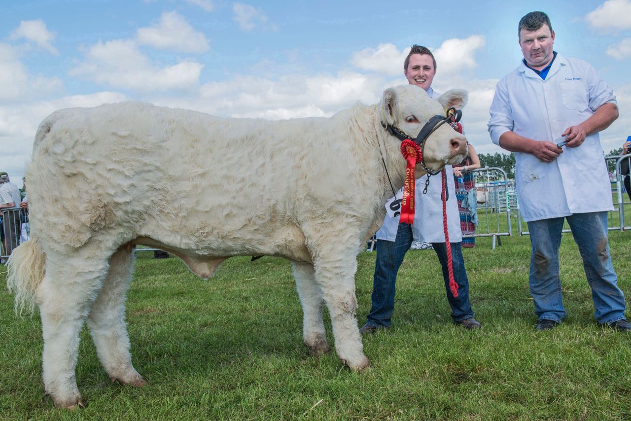 Fun in the sun at Lisburn and Saintfield District Show