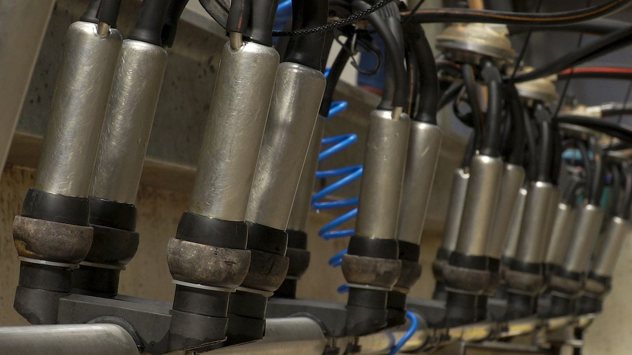 Report examines out-of-season bonuses from dairy processors