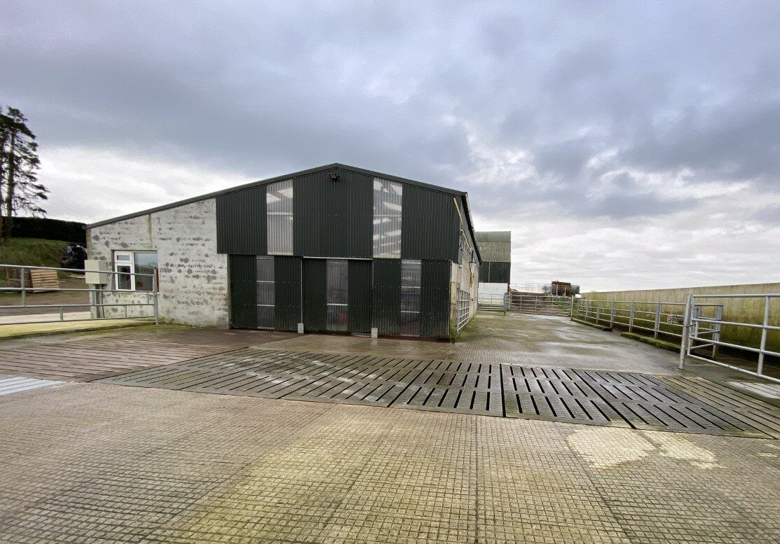 Buildings Focus: 8-unit parlour with unique features on 60-cow Cork farm
