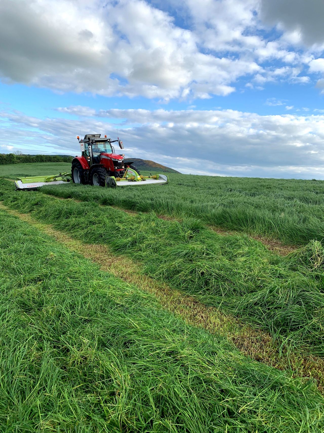 Fertilizer Association urges against seeking 'bulky' first cut of silage