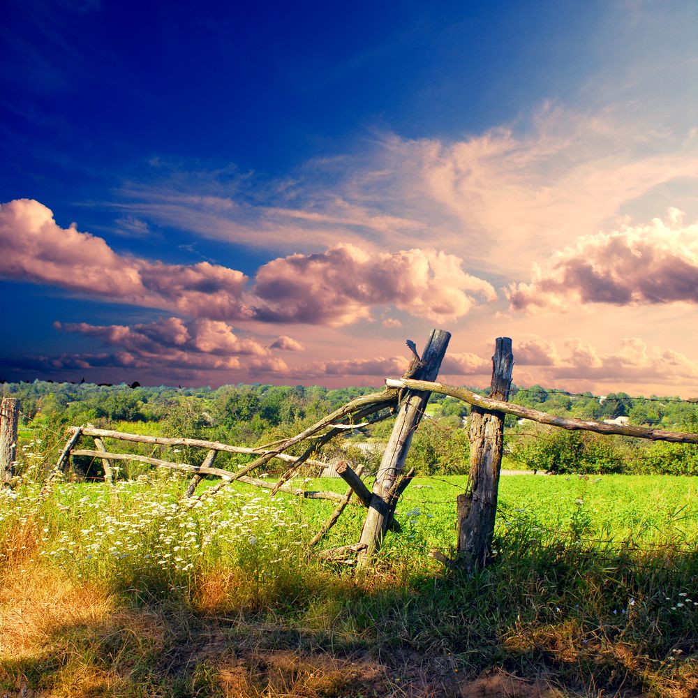 4,800 land eligibility appeals made to date