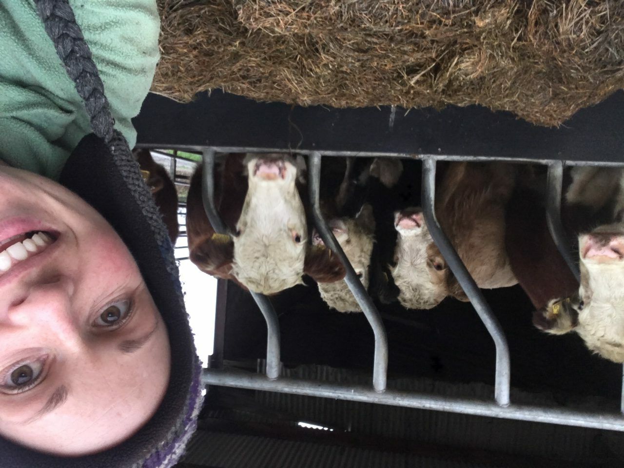 Waterford artist draws on farm life for inspiration