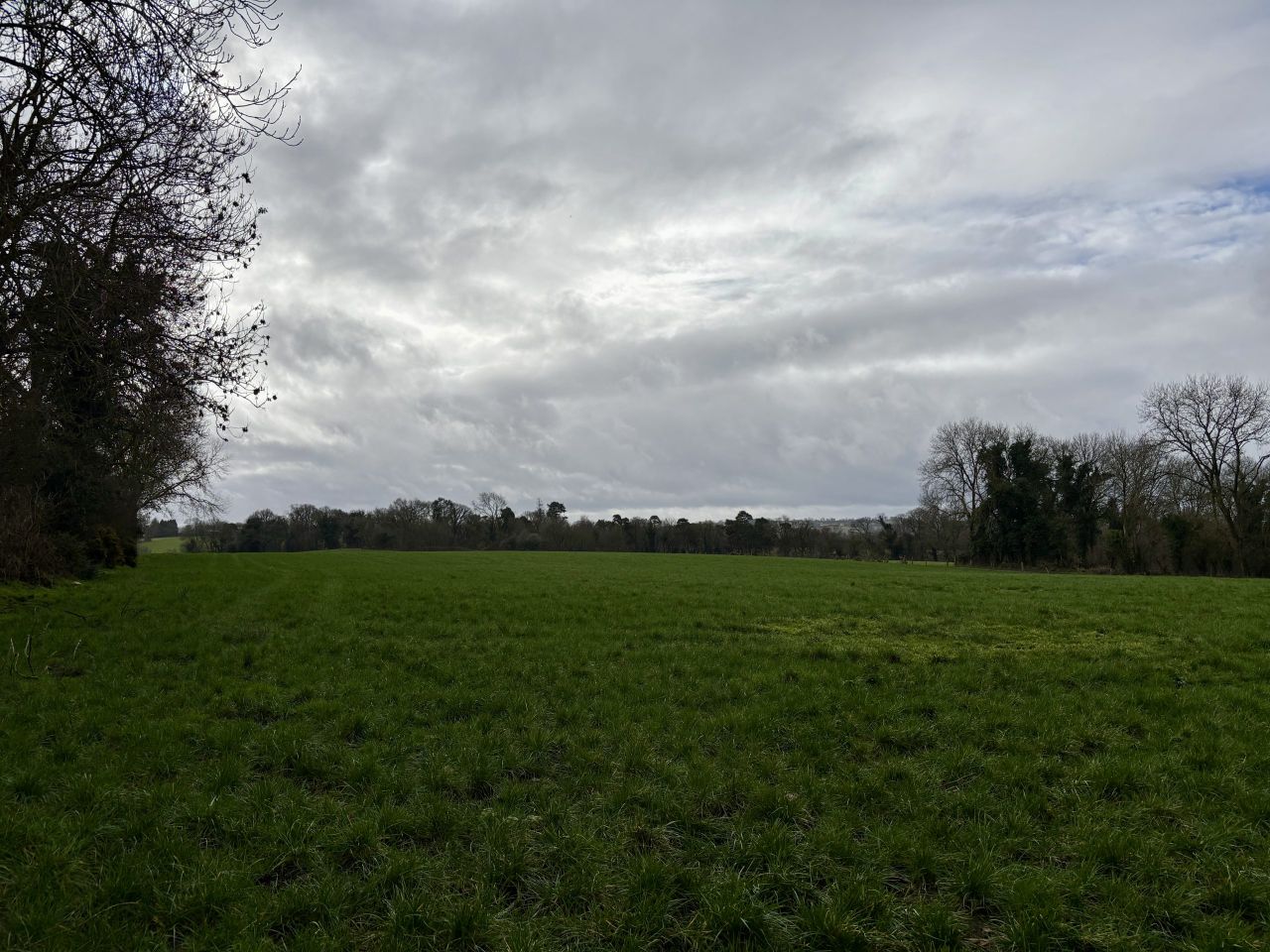 Damage control key topic at spring grazing walk