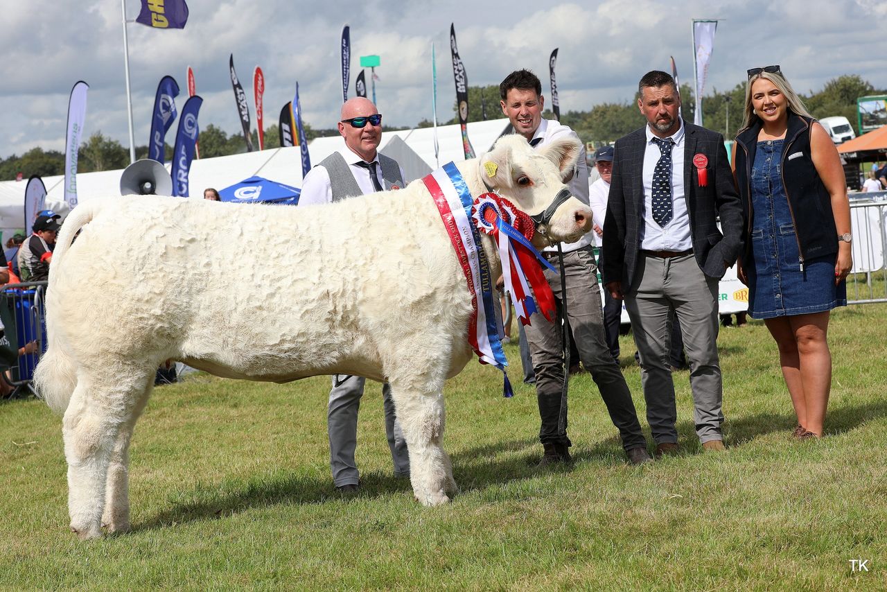 Results and winners from National Charolais Show