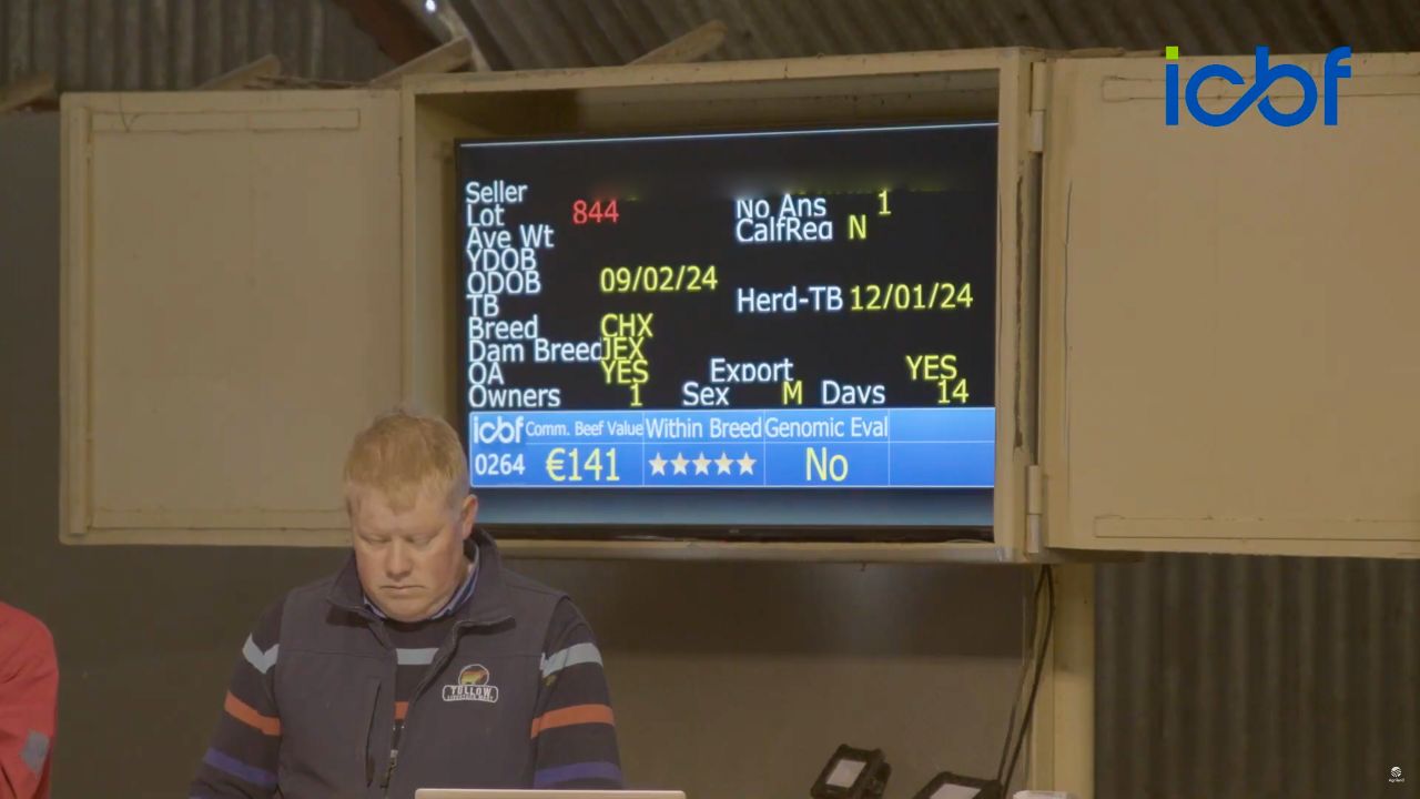 How will the CBV help farmers who buy their calves at the mart? Commercial Beef Value Series