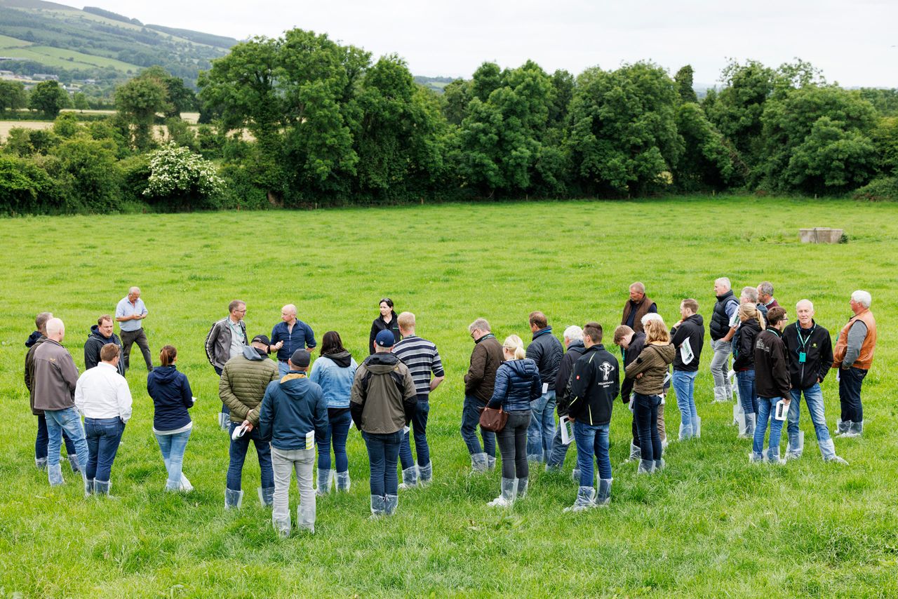 Germinal Ireland: German dairy farmers seek grass advice on Irish farm