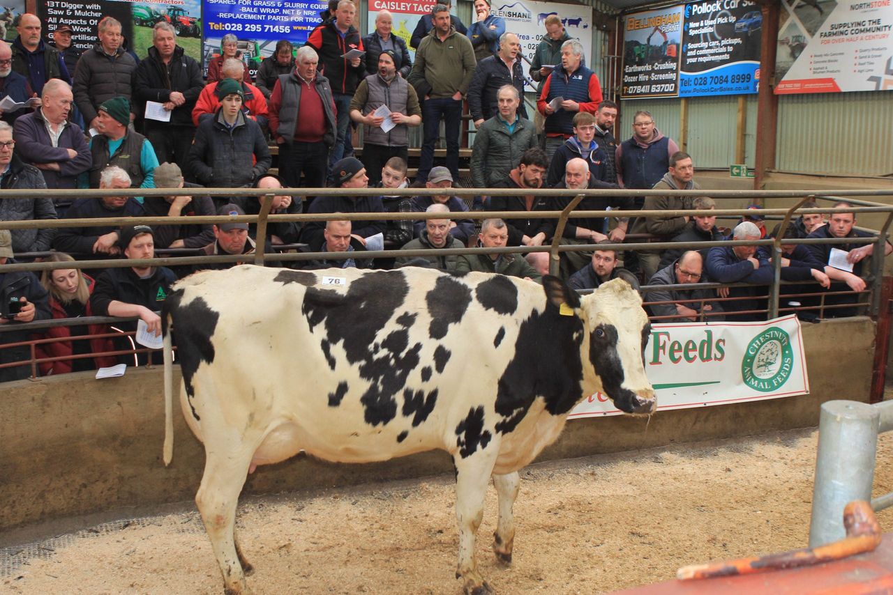 Top price of £5,150 at dairy sale in Kilrea Mart