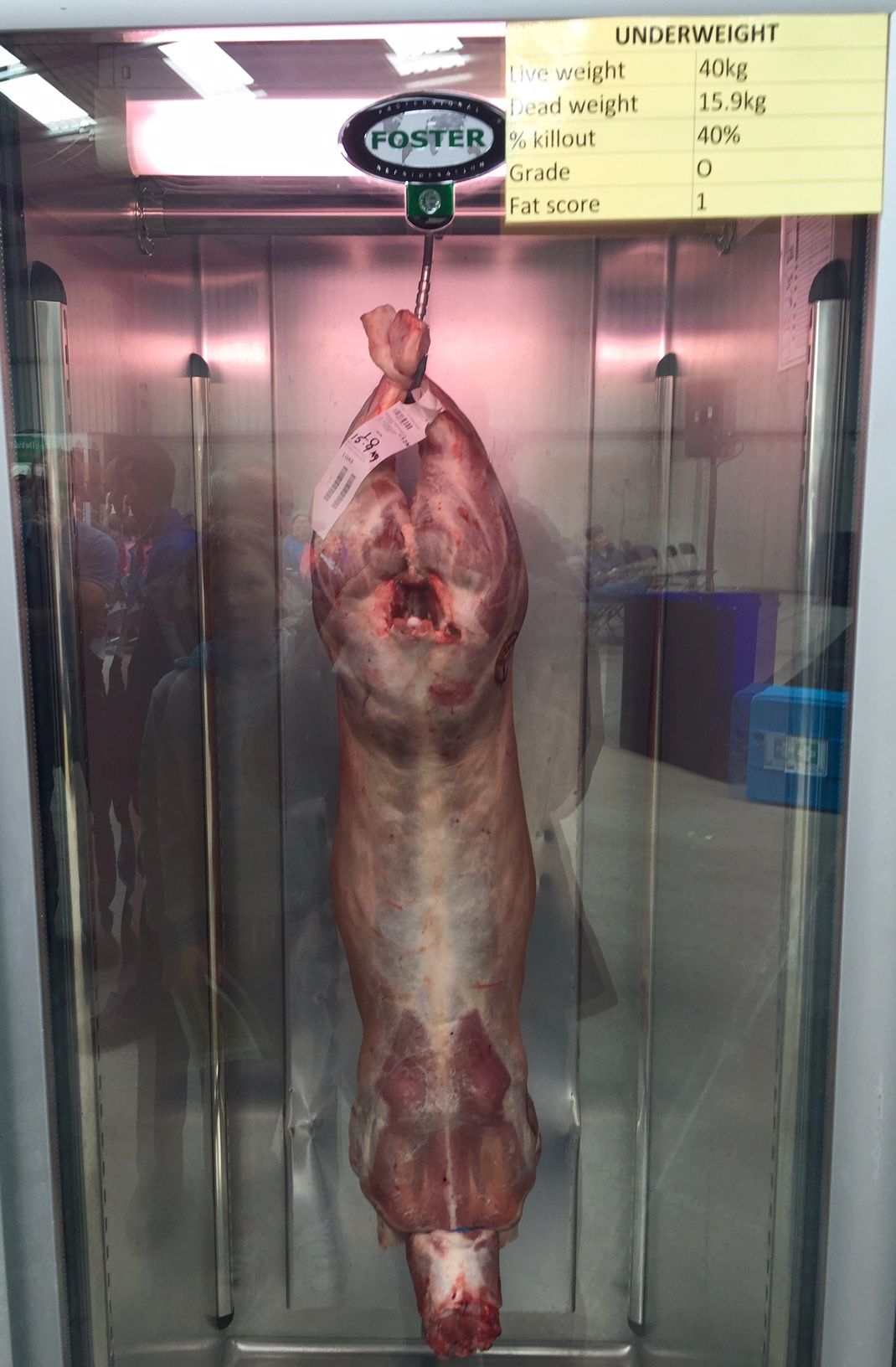 'Lamb must be included in beef trade missions'