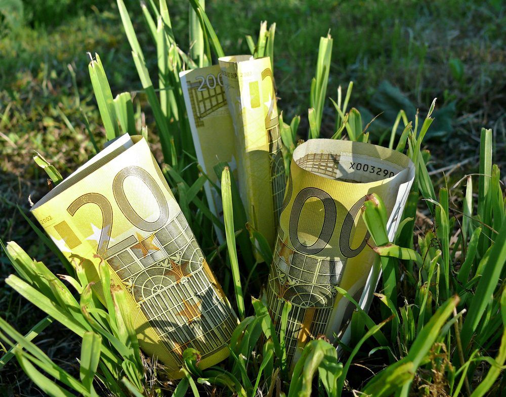 Opinion: Delayed payments to young farmers undermines those looking to start farming