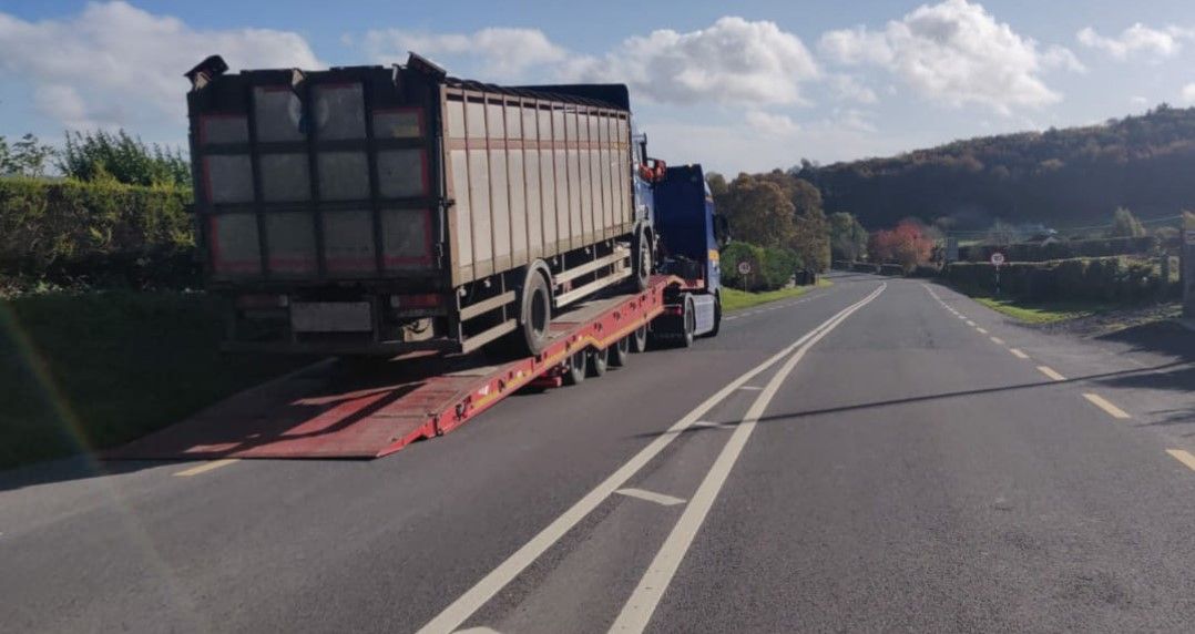 Livestock lorry seized at Garda checkpoint in Laois