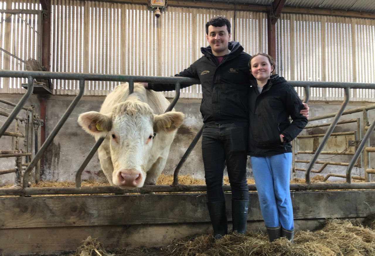 Beef Focus: Sligo family making waves in the world of pedigree breeding