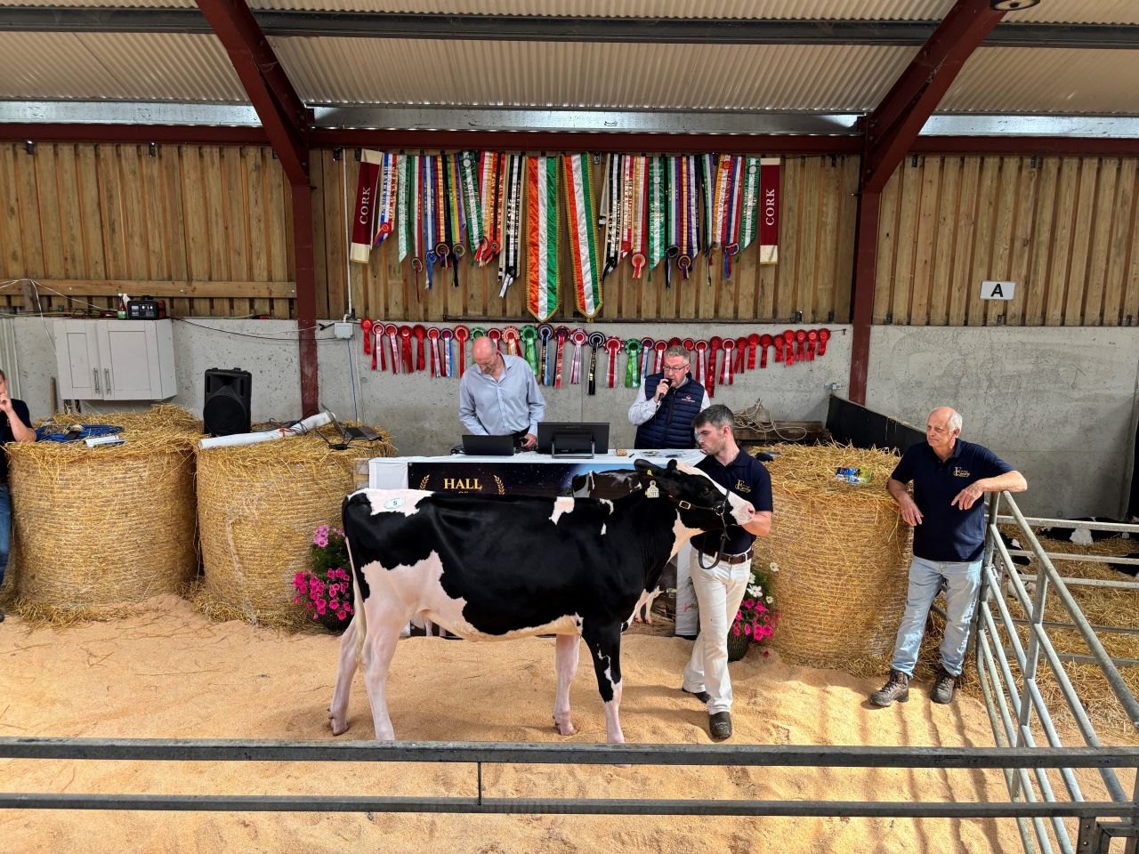 Eedy Lamagic Fame sold for €7,900.