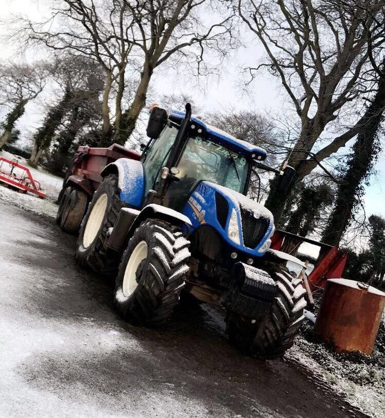 Pics: Your day on the farm in the snow