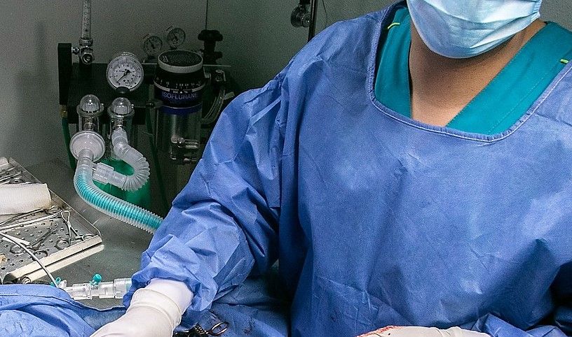 NI vets could be drafted into hospitals in Covid-19 continguency plan