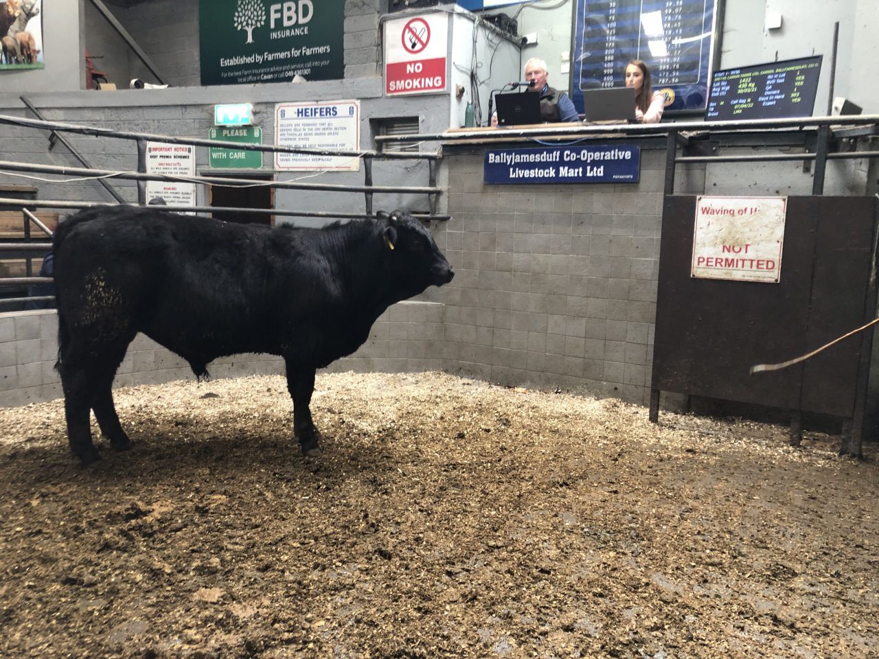 Mart report: Strong farmer demand for weanling bulls at Ballyjamesduff