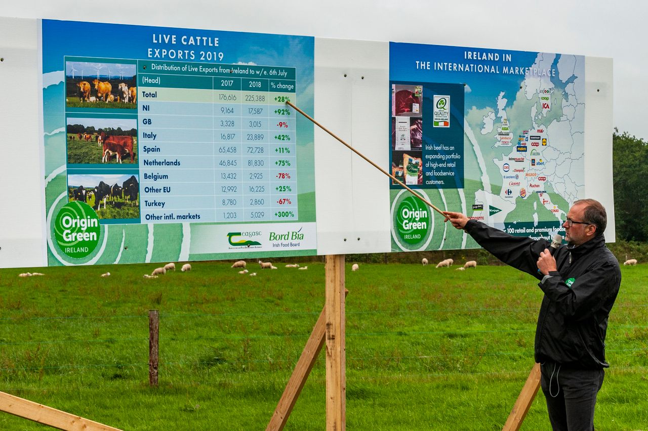 Series of beef and sheep farm walks to begin this autumn